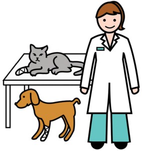 vet.jpg